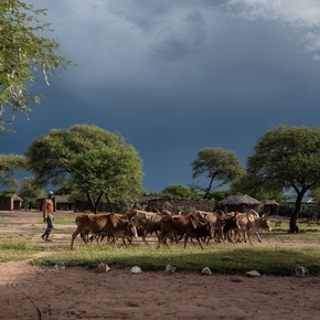 Am 22. März ist Weltwassertag: Mit Brunnen, Wasserfiltern und Trainings setzt sich Cotton made in Africa für das Menschenrecht auf Wasser ein