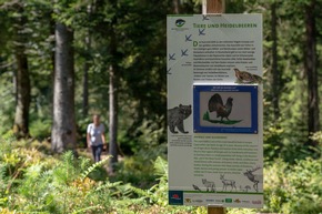 Presse-Feature: Wanderung ins Blaue